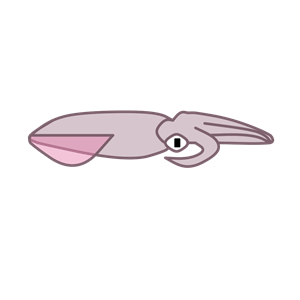 Squid PNG-47195